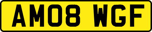 AM08WGF
