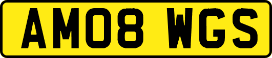 AM08WGS