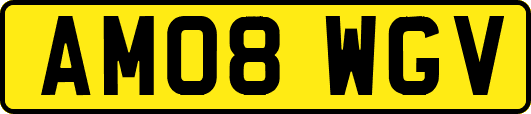 AM08WGV