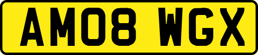 AM08WGX