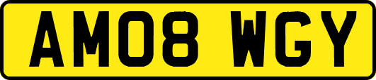 AM08WGY