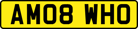 AM08WHO