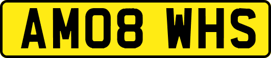 AM08WHS