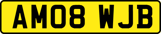 AM08WJB