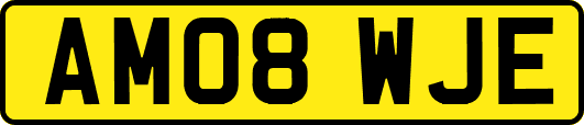 AM08WJE