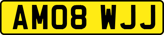 AM08WJJ