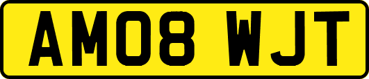 AM08WJT