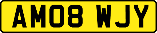 AM08WJY