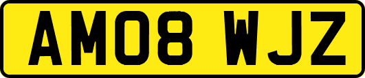 AM08WJZ
