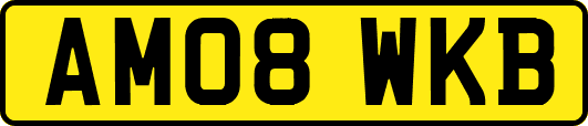 AM08WKB