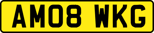 AM08WKG