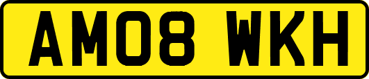 AM08WKH