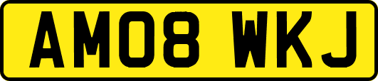 AM08WKJ