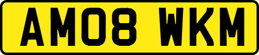 AM08WKM