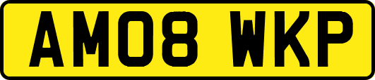 AM08WKP