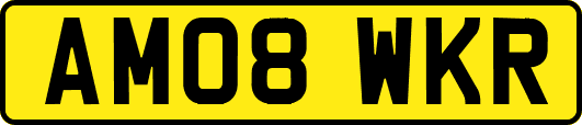 AM08WKR