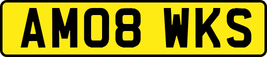 AM08WKS