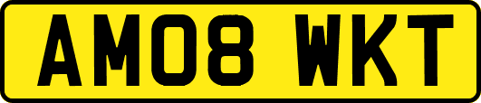 AM08WKT