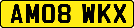 AM08WKX