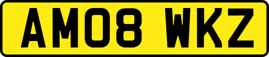 AM08WKZ