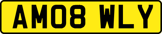 AM08WLY