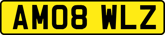 AM08WLZ