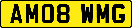 AM08WMG