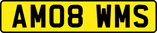 AM08WMS