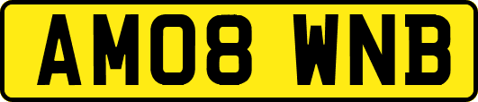 AM08WNB