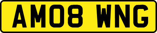 AM08WNG