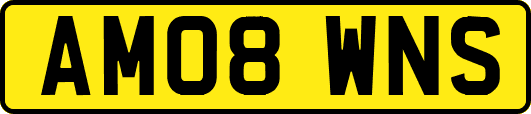 AM08WNS