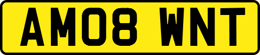 AM08WNT