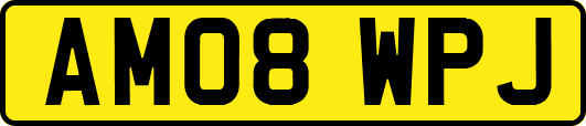 AM08WPJ