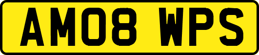 AM08WPS