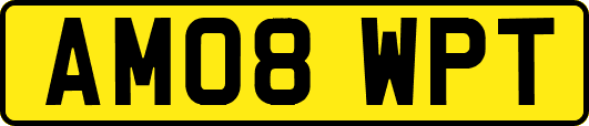 AM08WPT