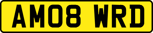 AM08WRD