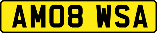 AM08WSA