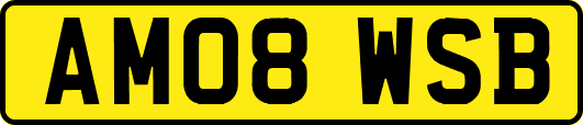 AM08WSB