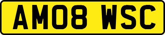 AM08WSC