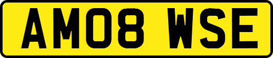AM08WSE