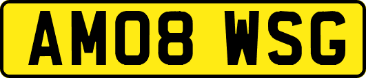 AM08WSG