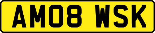 AM08WSK