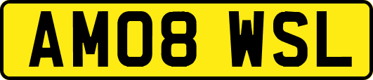 AM08WSL