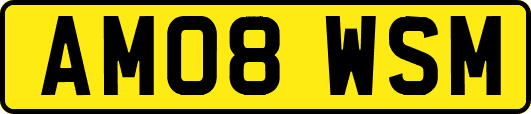 AM08WSM