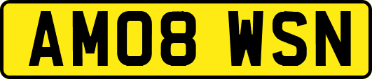 AM08WSN