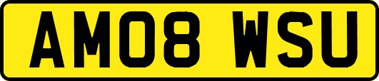 AM08WSU
