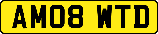 AM08WTD