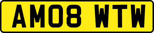 AM08WTW