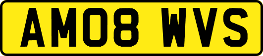 AM08WVS