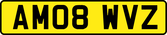 AM08WVZ